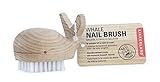 Kikkerland Nagelbürste Holzwal, nietlich und praktisch, Spaß für die Kinder, 1 Stück (1er Pack)
